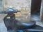 Immagine 5