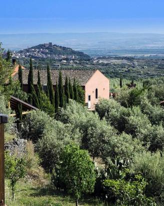 Attività / Licenza di 510 m² a Santa Maria di Lico