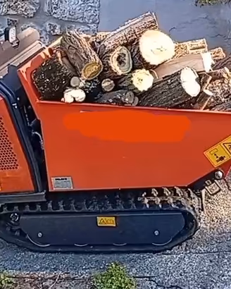 motocarriola mini dumper 