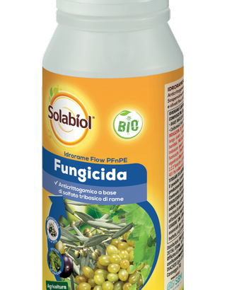 Fungicida PFnPE biologico 500ml