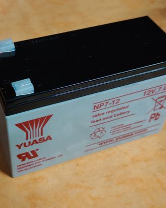 Batteria 12V 7Ah Yuasa NP7-12