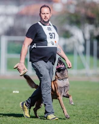 Cuccioli pastori belga malinois