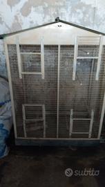 voliera per uccelli 