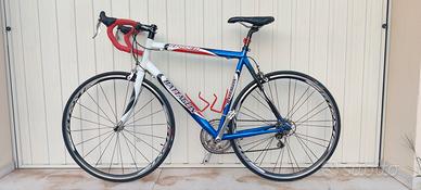 Battaglini spider carbon M/L