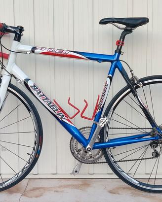 Battaglini spider carbon M/L