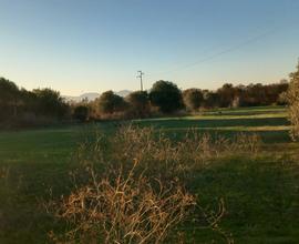 Terreno agricolo