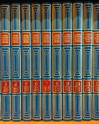 Il grande dizionario Illustrato Peruzzo Larousse