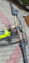 bicicletta assistita coppi