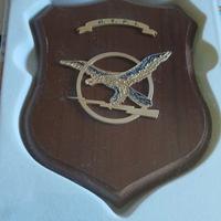 crest Guardia di finanza- A.T.P.I.