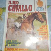 Imparare ad andare a cavallo