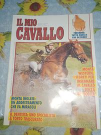 Imparare ad andare a cavallo