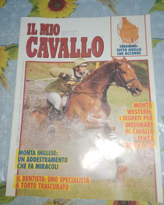 Imparare ad andare a cavallo