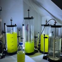 Fitoplancton e zooplankton acquario marino