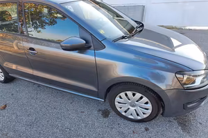 Polo Bifuel  