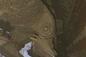 Trincia interfilare meritano htm 165