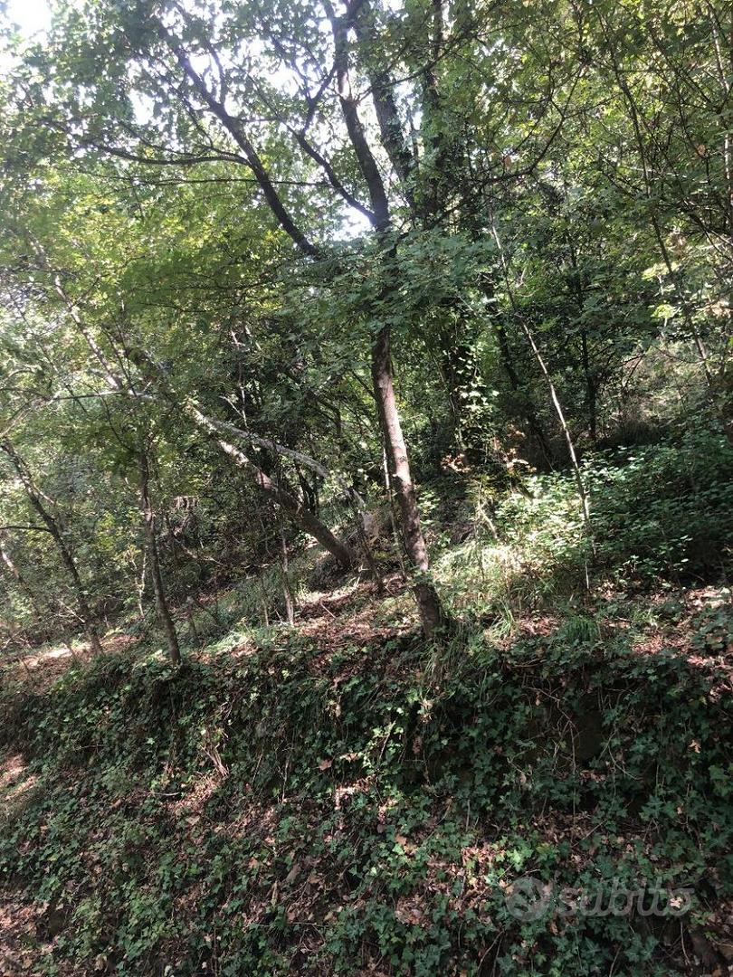 Terreno - Salita di Contovello alta - Vista 2