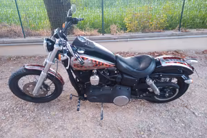 HARLEY DAVIDSON