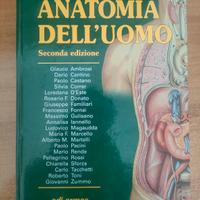 Anatomia dell' uomo Ermes seconda edizione