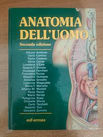 Anatomia dell' uomo Ermes seconda edizione