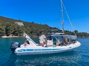 stingher-606-xs