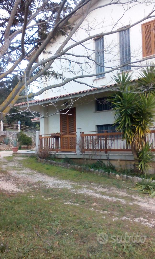 Appartamento – Calvi dell'Umbria, San Francesco - Vista 2