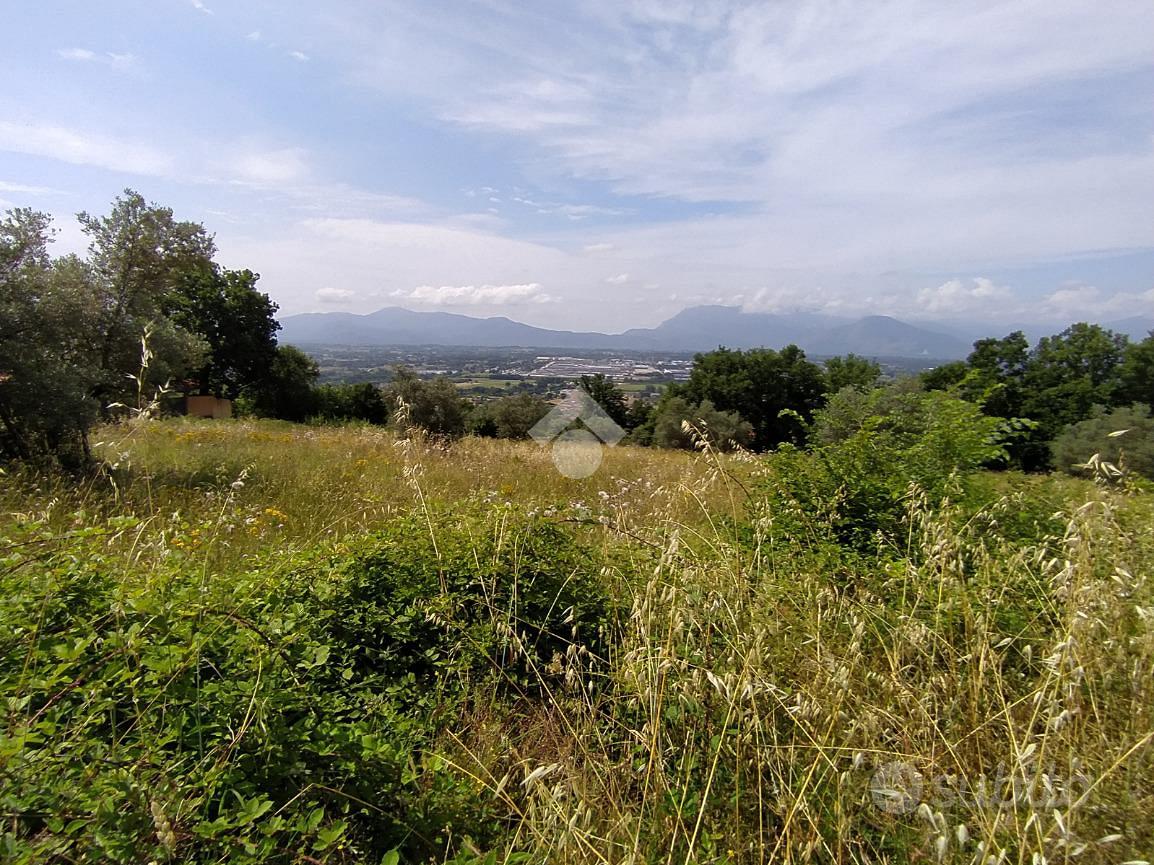 TER. AGRICOLO A PIEDIMONTE SAN GERMANO - Altro