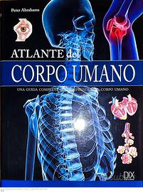 ATLANTE DEL CORPO UMANO
