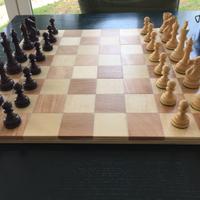 Scacchi e dama con scacchiera e custodia