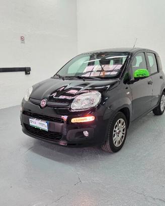 FIAT Panda 3ª serie Panda 1.2 Easy