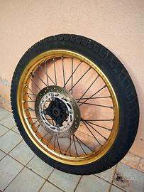 Cerchio Dominator