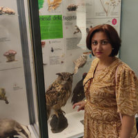 Addetta Mensa o addetta lavanderia