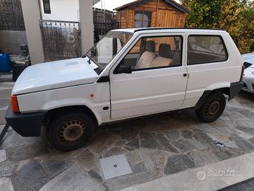 Panda 141 