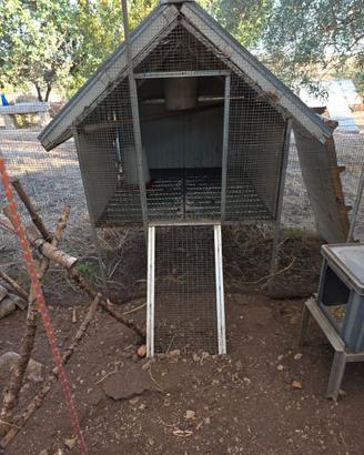 Pollaio in coibentato per 8 10 galline