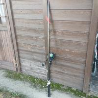 canna da carpfishing