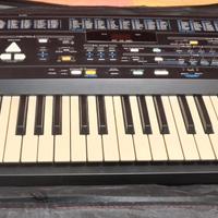 Tastiera Roland E - 16 + Custodia