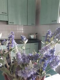 Appartamento ristrutturato