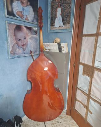 Contrabbasso mai usato 