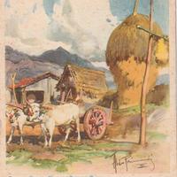 STAMPA PUBBLICITARIA D'EPOCA ANNO 1938 MAREMMA