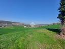 rustico-a-monte-san-pietro