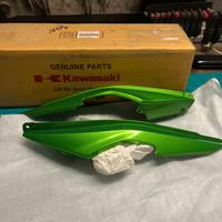 Fianchetti Kawasaki Versis 650