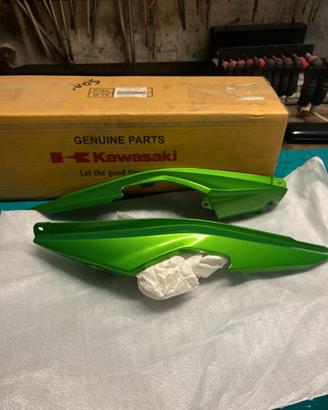 Fianchetti Kawasaki Versis 650