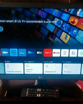 TV lg 24 pollici smart tv 