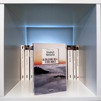 Al di là del Bene e del Male