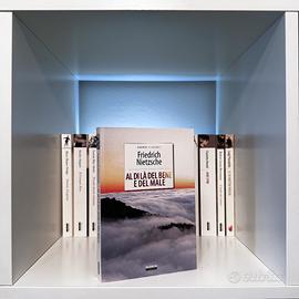 Al di là del Bene e del Male