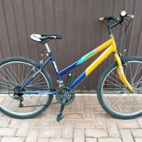 Mountain bike