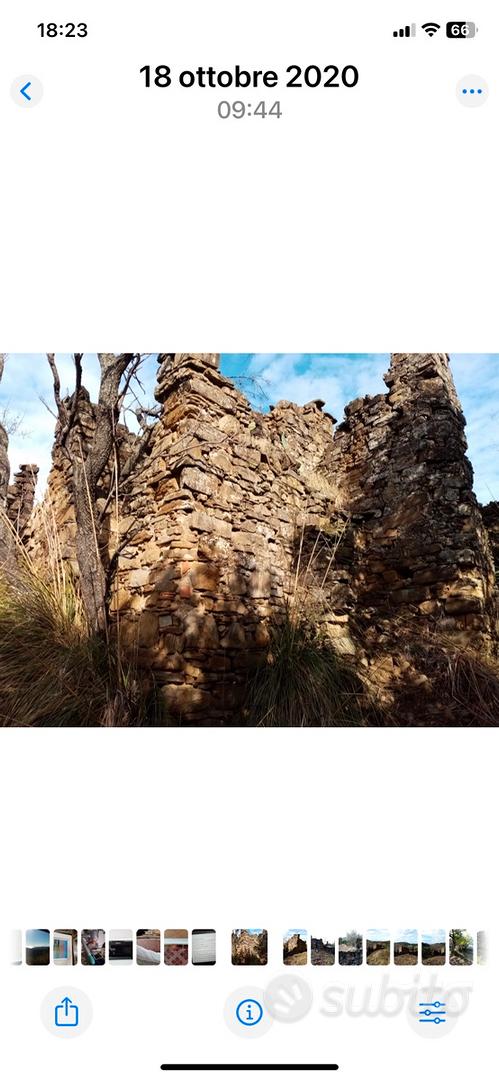 Uliveto con rudere - Vista 5