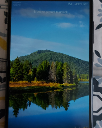 Huawei mate 10 lite dual sim