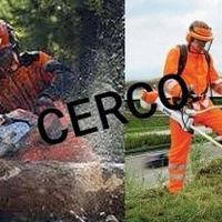 MOTOSEGHE DECESPUGLIATORI