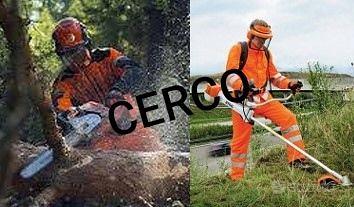 MOTOSEGHE DECESPUGLIATORI