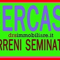 Terreni ed aziende agricole